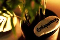 FloWü - Stein Entspannung Pflanze im Topf und Stein mit Aufschrift Entspannung